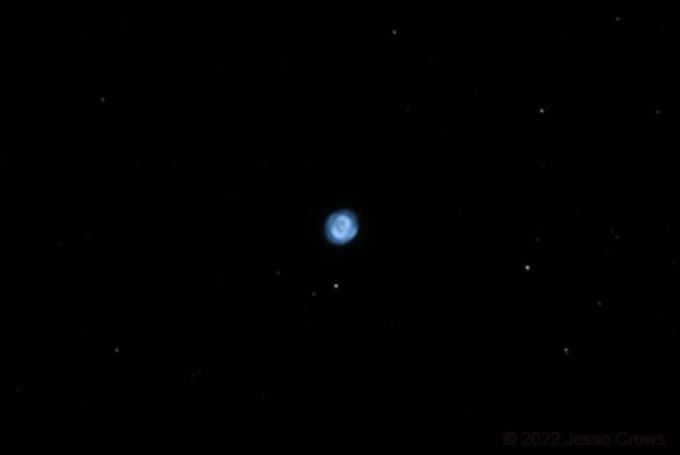 Copeland's Blue Snowball, 



    
        

            jcrews

        
    

