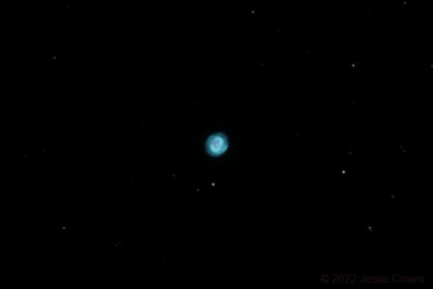 Copeland's Blue Snowball, 



    
        

            jcrews

        
    

