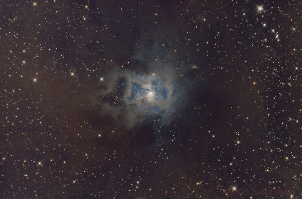 Iris Nebula, 



    
        

            jcrews

        
    


