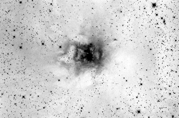 Iris Nebula, 



    
        

            jcrews

        
    

