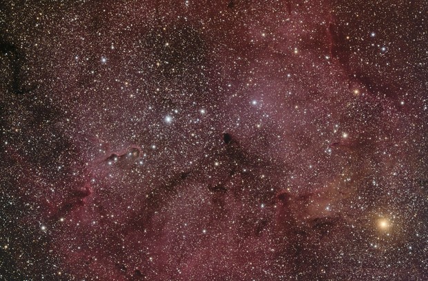 Elephant's Trunk Nebula, 



    
        

            jcrews

        
    

